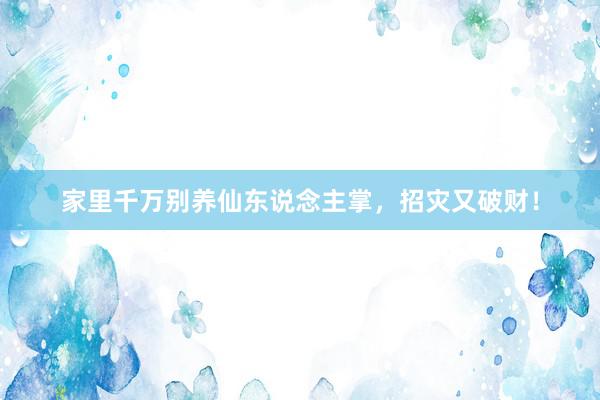家里千万别养仙东说念主掌，招灾又破财！
