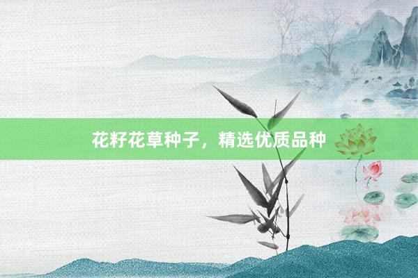 花籽花草种子,精选优质品种