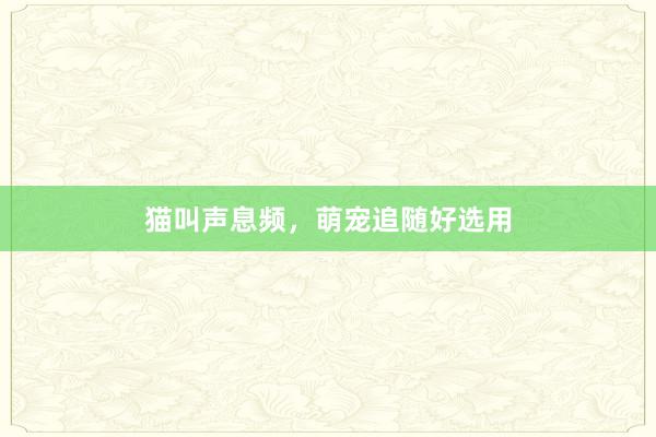 猫叫声息频，萌宠追随好选用