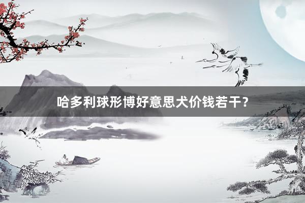 哈多利球形博好意思犬价钱若干？